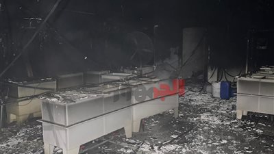 حريق بمصنع مشغولات ذهبية بمدينة بدر.. والحماية المدنية تسيطر