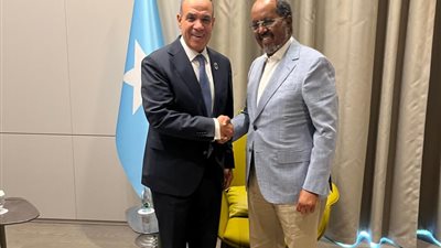 وزير الخارجية يلتقي الرئيس الصومالي ويؤكد مواصلة دعم القاهرة لمقديشو وتعزيز الشراكة 