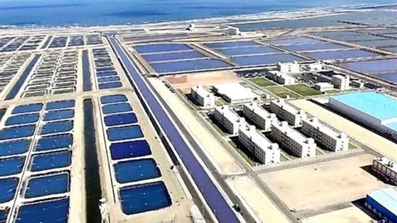مشروع بركة غليون للاستزراع السمكي 