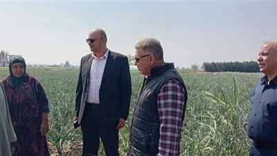  رئيس قطاع الخدمات يتابع حصاد القمح بالغربية ويوجه بتذليل عقبات التوريد