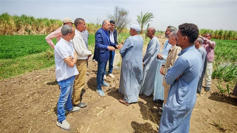 الدكتور أحمد عضام