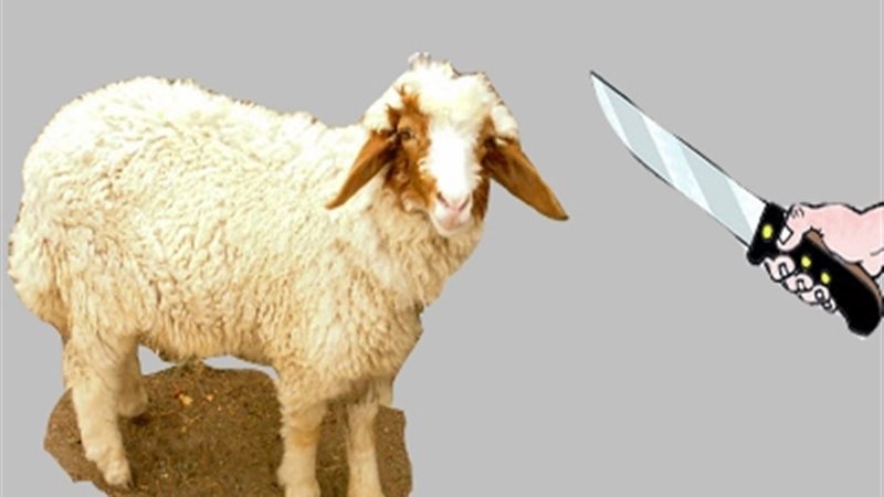 صورة تعبيرية