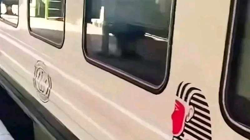 قطار ابو الهول 