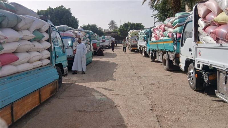 جانب من التوريد