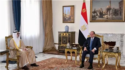 نائب بالشيوخ: لقاء الرئيس السيسي ووزير خارجية الكويت يعكس عمق الشراكة ودعم الاستقرار العربي