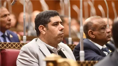 نائب بالشيوخ: مد وقف ضريبة الأطيان الزراعية رسالة دعم واضحة للفلاح المصري