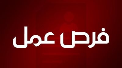  بين البساطة والدقة.. مشروع تكنولوجي جديد يعيد رسم طرق التقديم للوظائف في مصر