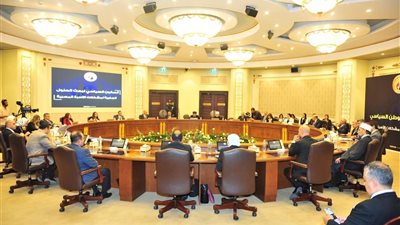 ماذا حدث في صالون حماة الوطن حول الأسرة المصرية؟