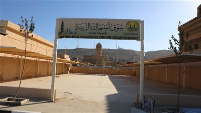 بين التراث والتطوير.. ماذا يُخبَّأ نقل سوق الحمام للسيدة عائشة؟