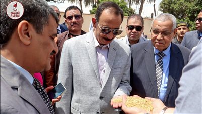بدء موسم توريد القمح 2026.. محافظ سوهاج يتفقد الحصاد ويؤكد دعم المزارعين