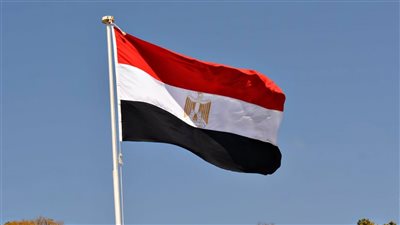 مصر تعرب عن تضامنها مع مملكة البحرين الشقيقة.. ودعم خليجي لأمنها
