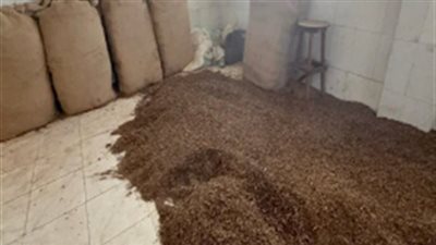 بعد ضبط مصنع غير مرخص بداخله 15 طن معسل منتهي الصلاحية بالدقهلية.. هذه عقوبة صاحبه