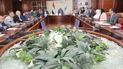 محافظ بني سويف يناقش مستجدات سير العمل بمشروعات المرحلة الأولى من “حياة كريمة”