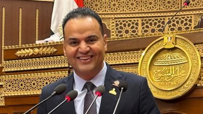 برلمانى: توجيهات الرئيس بشأن قانون الأسرة خطوة لإصلاح تشريعي يعزز استقرار المجتمع