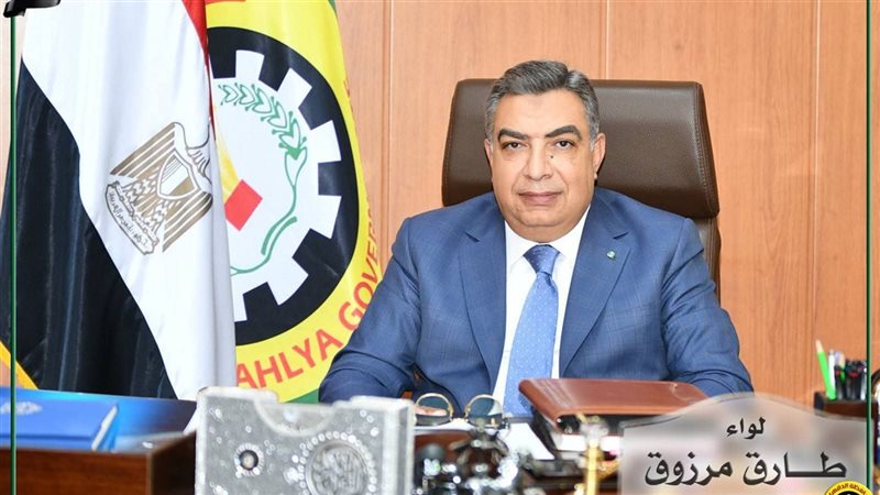  محافظ الدقهلية 