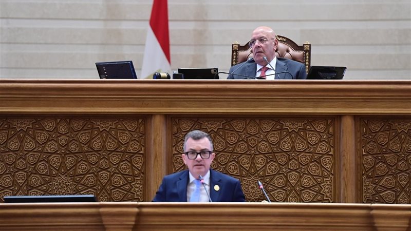 وزير التخطيط خلال كلمته أمام مجلس النواب
