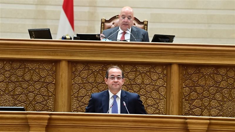 وزير المالية في البرلمان