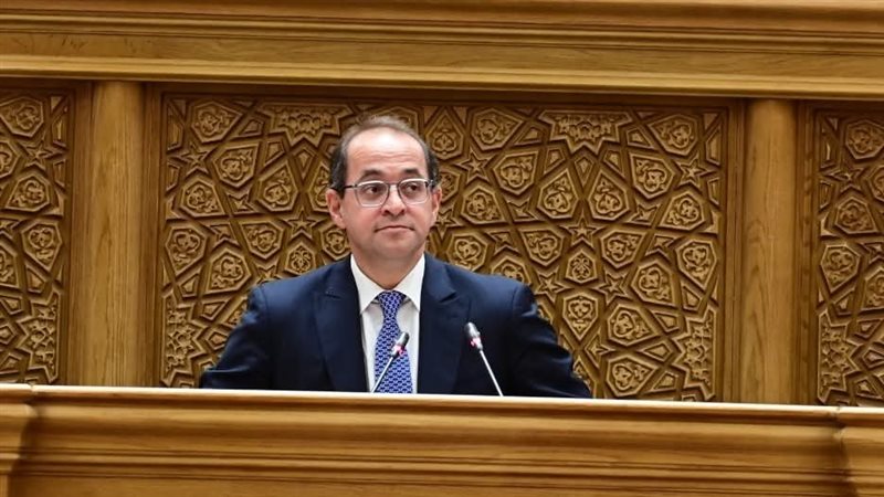 وزير المالية
