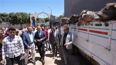 محافظ أسيوط يسلم 28 رأس ماشية للأسر الأولى بالرعاية بمركز البداري