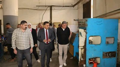 محافظ القليوبية يقود جولة ميدانية بقرية 