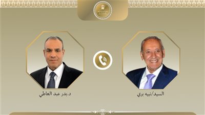 مصر تؤكد دعمها للبنان وتدعو لوقف إطلاق نار دائم وانسحاب إسرائيلي كامل 