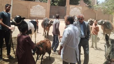 قافلة بيطرية.. فحص وعلاج 3150 حالة بمراكز طما والمراغة والمنشأة