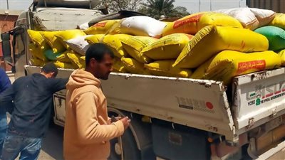 محافظ الدقهلية: توريد 5120 طن قمح لمواقع التخزين والصوامع علي مستوي المحافظة