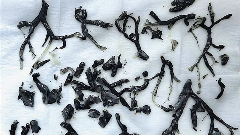 صورة توضيحية 