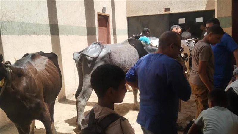 مديرية الطب البيطري بسوهاج