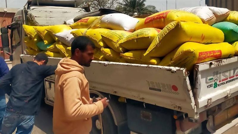 توريد القمح 