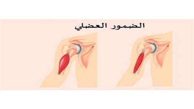 ثورة بطب الشيخوخة.. روسيا تقترب من ابتكار أول دواء لعلاج 