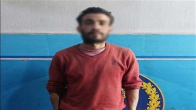 خلاف عائلي يتحول إلى اعتداء..ضبط متهم بالتعدي على شقيقه بالسب والضرب بالدقهلية