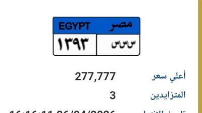 قبل الحسم بساعات..لوحة «س س س 1393»تقفز لـ 277 ألف جنيه بالمزاد