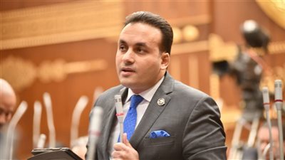 برلماني: كلمة الرئيس السيسي في ذكرى تحرير سيناء تجسد رؤية وطنية شاملة