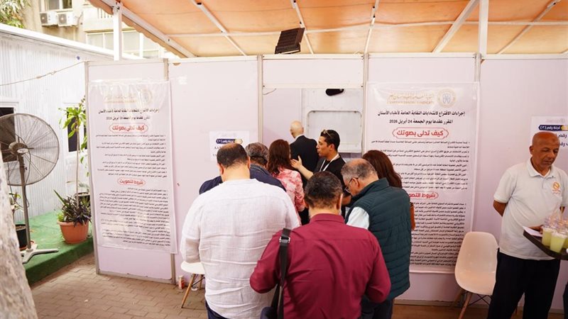 الانتخابات الإلكترونية