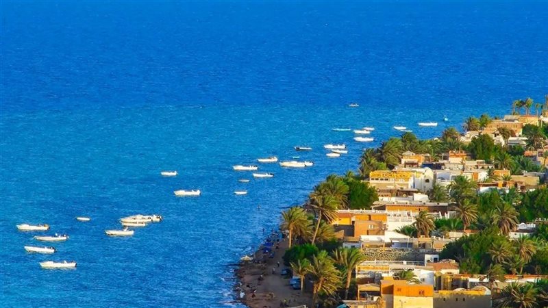 سيناء