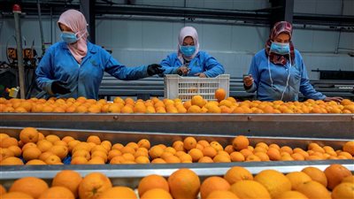  صفر جمارك.. الصين تفتح أسواقها لـ1.4 مليار مستهلك أمام الصادرات المصرية