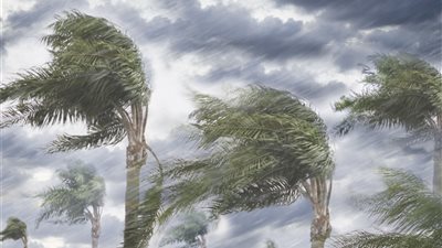 شبورة ورياح.. ما حالة الطقس المتوقعة من الثلاثاء إلى السبت؟ 