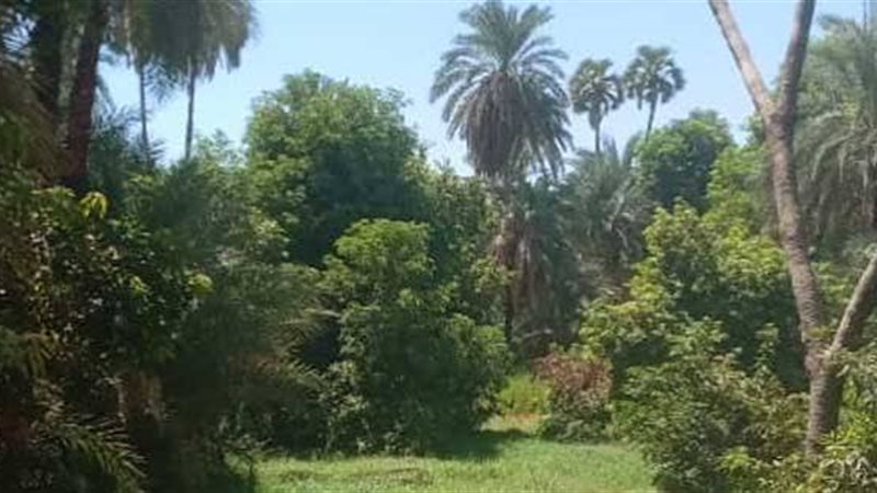 قرية فارس الخضراء 