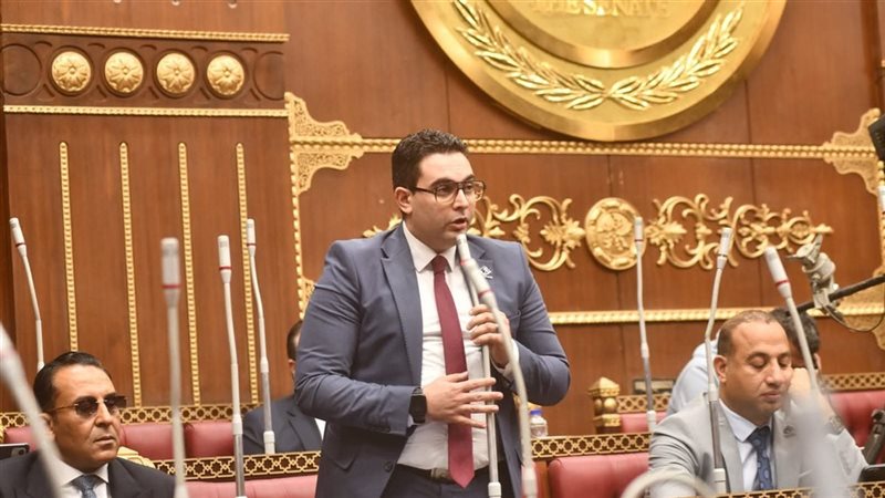 النائب أحمد خالد ممدوح
