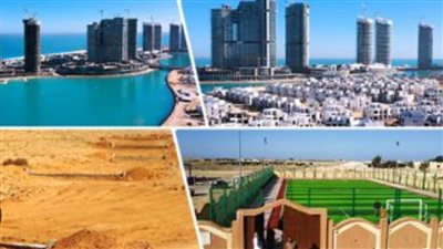 طفرة في تنمية الثروة الحيوانية والداجنة بكفر الشيخ.. مشروع 20 مليون بيضة يقود الأمن الغذائي