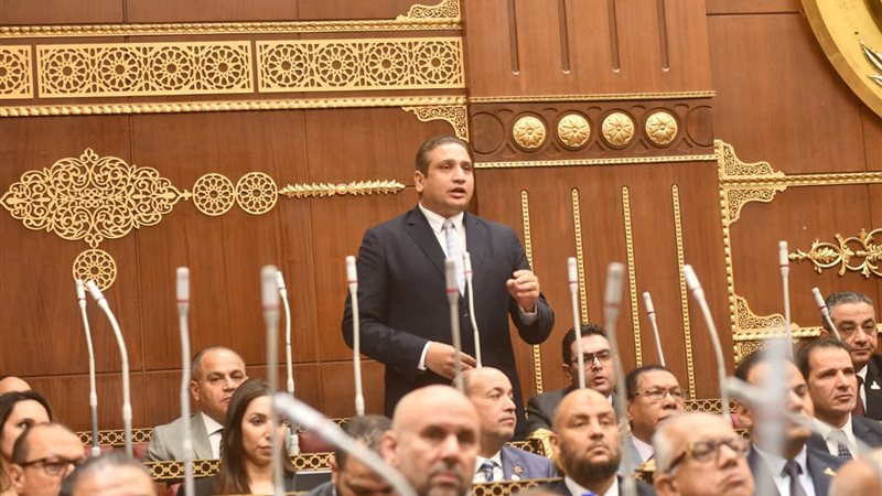  النائب عماد خليل