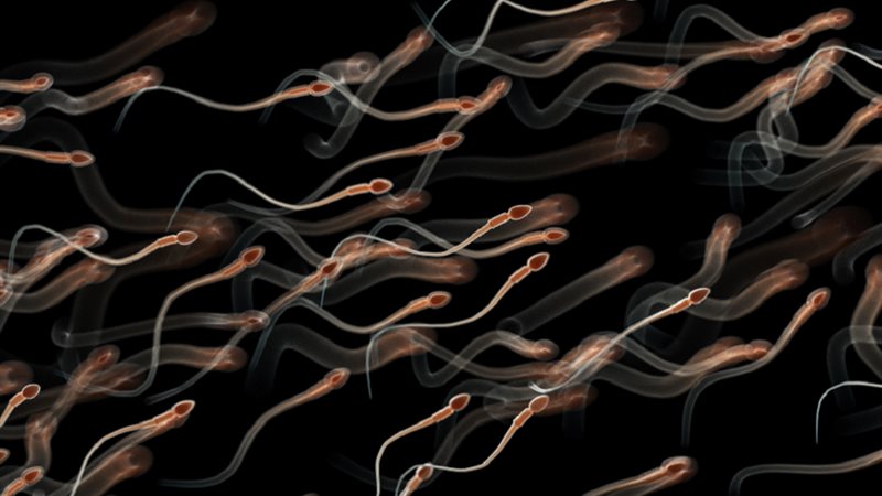 صورة- أرشيفية 