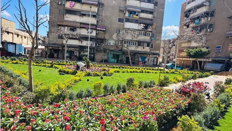 ضواحي بورسعيد تتزين بالمسطحات الخضراء 
