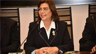 رئيسة «تضامن النواب»: نتبنى رؤية متوازنة لحماية الأسرة دون انحياز