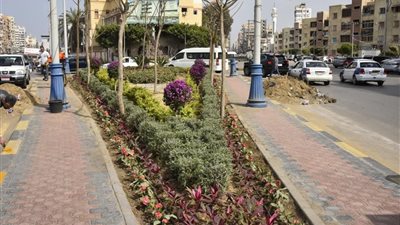 محافظ بورسعيد يوجه بتكثيف أعمال التشجير بعدد من الشوارع الرئيسية