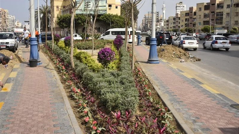 جانب من أعمال التشجير 