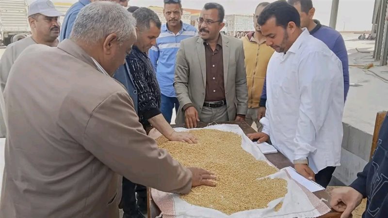 توريد القمح 