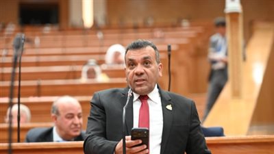 النائب أشرف مرزوق: تيسيرات الصناعة إنقاذ مشروط بالإنتاج