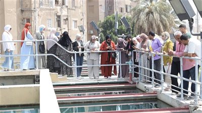 طلاب خدمة اجتماعية